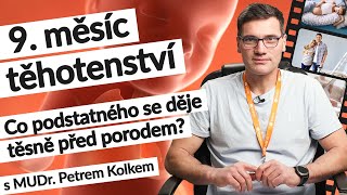 9 měsíc těhotenství 36–40 tt  Těhotenství týden po týdnu tehotenstvi [upl. by Drescher601]