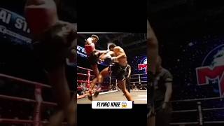 crazy flying knee knockout muaythai shorts fyp viral boxing ufc [upl. by Chessa669]