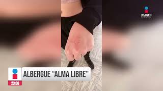 Desmienten malos tratos en el albergue quotAlma Librequot  Noticias GDL con Rey Suárez [upl. by Stavro]