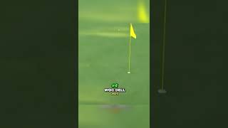 Rory Mcilroy Top 10 Golf Shots  Part 2 [upl. by Enomaj215]