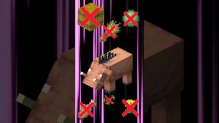 best feed edit Minecraft hoglin🐗 with 2 itom shorts minecraft phonk [upl. by Esereht]