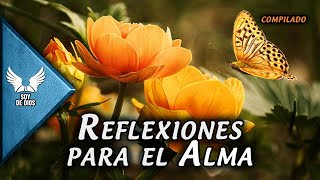 Inspiración Diaria 10 Reflexiones Para Encontrar Paz y Fuerza Interior [upl. by Animlehliw455]