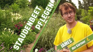 Wie pflegt man Staudenbeete richtig  James der Gärtner [upl. by Asiruam329]