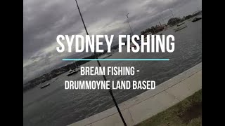 Sydney Fishing  Drummoyne Bream breamfishing [upl. by Epifano]