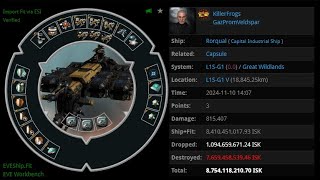 EVE ONLINE  AMC 10 NOV 2024 Killed Rorqual in Great Wildlands [upl. by Bakeman673]