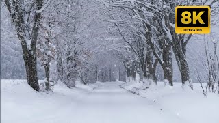 TV Art Screensaver 4K winter  screen tv art wall 4K FULL HD Relaxing snow Background  Wallpaper [upl. by Nuli]