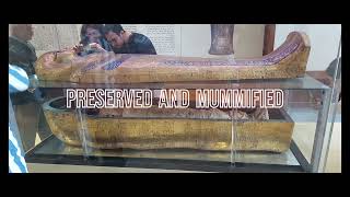 EGYPT Wonders PHOTOS PART 5 Old Egyptian Museum Cairo 2023 Mummy Animals Sarcophag Ancient Artefacts [upl. by Nyleahs872]