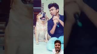 singing dog funny😂 shorts  Anant rastogi songs hindisong bollywood shortsfeed challange [upl. by Otina]