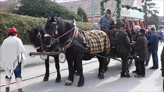 Eindrücke vom Obernberger Pferdemarkt  Horse fair in Austria [upl. by Nohsauq]