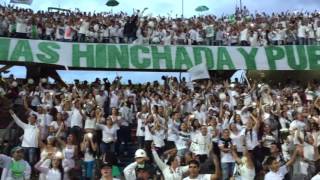 Homenaje Hinchada de Nacional a Chapecoense [upl. by Hen]