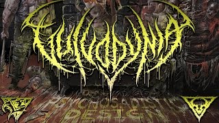 Vulvodynia  Drowned In Vomit OFFICIAL HD AUDIO [upl. by Gilba294]