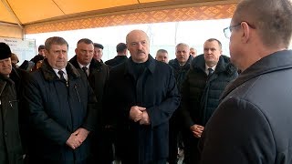 Лукашенко поручил искать новые рынки в условиях проблем с поставками продуктов в Россию [upl. by Randa]