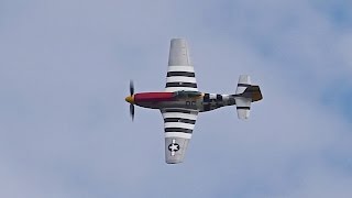 North American P51D Mustang flying Display at Volkel Luchtmachtdagen 2013 [upl. by Sigfrid]