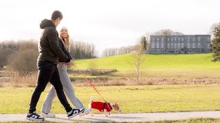 Limerick On Foot Curraghchase Forest Park [upl. by Ydal720]