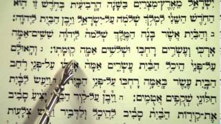 Haftorah reading for Parashat Terumah Rabbi Moshe Weisblum קריאת ההפטרה לפרשת תרומה הרב משה ויסבלום [upl. by Sybley859]