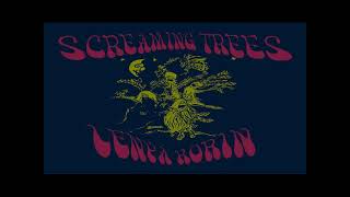 Screaming TreesLenya Korin 1991 Avast Studio [upl. by Cinemod]