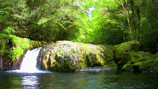 Kikuchi Gorge  菊池渓谷 [upl. by Cecily769]