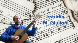 Maestoso  Opus 1 n1  Mauro Giuliani [upl. by Nyahs]