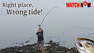 SHORE FISHING UK  RIGHT PLACE WRONG TIDE  FISHING FOR COD AND BASS [upl. by Atelra]