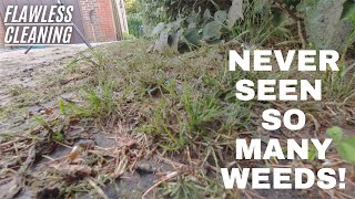 INFESTED WITH WEEDS  Satisfying Pressure Washing amp Transformation [upl. by Ziegler]