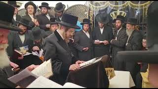 Sadigura Rebbe Davening In Meron  Iyar 5783 [upl. by Oimetra]