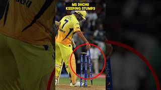 Top Secret behind Cricket Stumps  Why there are three stumps in Cricket  cricket msdhoni trend [upl. by Demakis352]