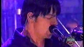 three days grace pain live [upl. by Earlene348]