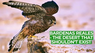 Bardenas Reales  Europes Impossible Desert  Free Documentary Nature [upl. by Alad]