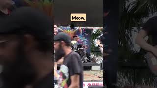 Kitty potusa cover music livemusic festival rock [upl. by Fellner446]