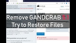 GANDCRAB 51 Virus  Remove DECRYPT FilesFree [upl. by Ibrahim]