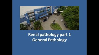 Renal pathology part 1 [upl. by Ketchum]