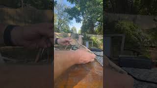 Power sanding a hand carved spoon youtubecreators youtubehighfive [upl. by Ardnohsal]