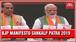 BJP Releases 2019 Manifesto Election 2019 [upl. by Aivatnuahs]