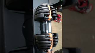 Best Adjustable Dumbbells in India [upl. by Ennagem847]