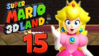 SUPER MARIO 3D LAND 🦝 15 Bowsers Plan B [upl. by Uriah754]