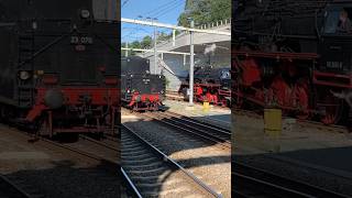 Stoomtrein kruising in Arnhem Westfalendampf 2024 [upl. by Kostman131]