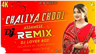 Chaliya ChodiDj Remix  Nilav Nita  Assamese Dj Song  2024 New Dj Song  Dj Lover Boy [upl. by Aowda611]