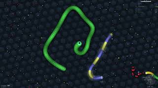 slitherio  gameplay  3102 points [upl. by Czarra]