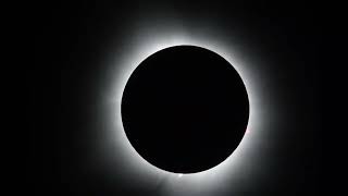 2024 solar eclipse reaches totality in Indianapolis Indiana [upl. by Infeld]