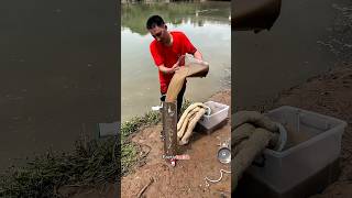 This DIY Water Filter SAVES Village From Contaminated Water shortsvideo [upl. by Mcnutt991]