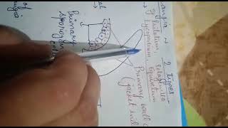 B Sc Part II Lecture 1 of Development of sporangia in pteridophytes [upl. by Enilrad]