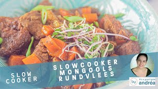 Slowcooker Mongools Rundvlees [upl. by Ahsikrats]