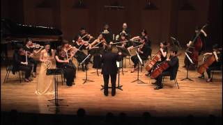 P Sarasate Zigeunerweisen Jaehee Choi Charles Neidich NFA Orchestra 최재희 찰스 나이딕 NFA 오케스트라 [upl. by Anerat]