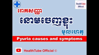 នោមចេញខ្ទុះ មូលហេតុនិងរោគសញ្ញា l Pyuria causes and symptoms ll ​បញ្ហានោម l HealthTube Official [upl. by Yziar]