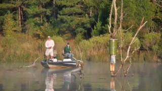 Dream Lake  Alabama Bass Fishing [upl. by Rotciv]