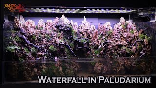 Waterfall in Paludarium [upl. by Airetnohs905]