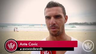 WSW TV  Recovery in Bondi [upl. by Oicram]