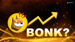 What’s Going on with the BONK Meme Coin  DRIPP News  2024 [upl. by Aspa]