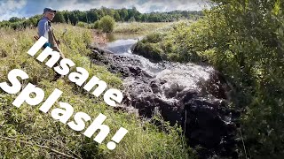 Beaver Dam Splashed Out [upl. by Yeloc]