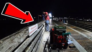 FISHING and CRABBING at the GALVESTON FISHING PIER [upl. by Ycaj831]